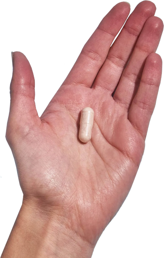image of hand holding 1 Performance Lab® CA Zinc capsule